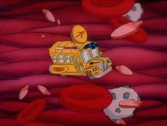 The Magic School Bus Takes a Whirlwind Tour through Cells
